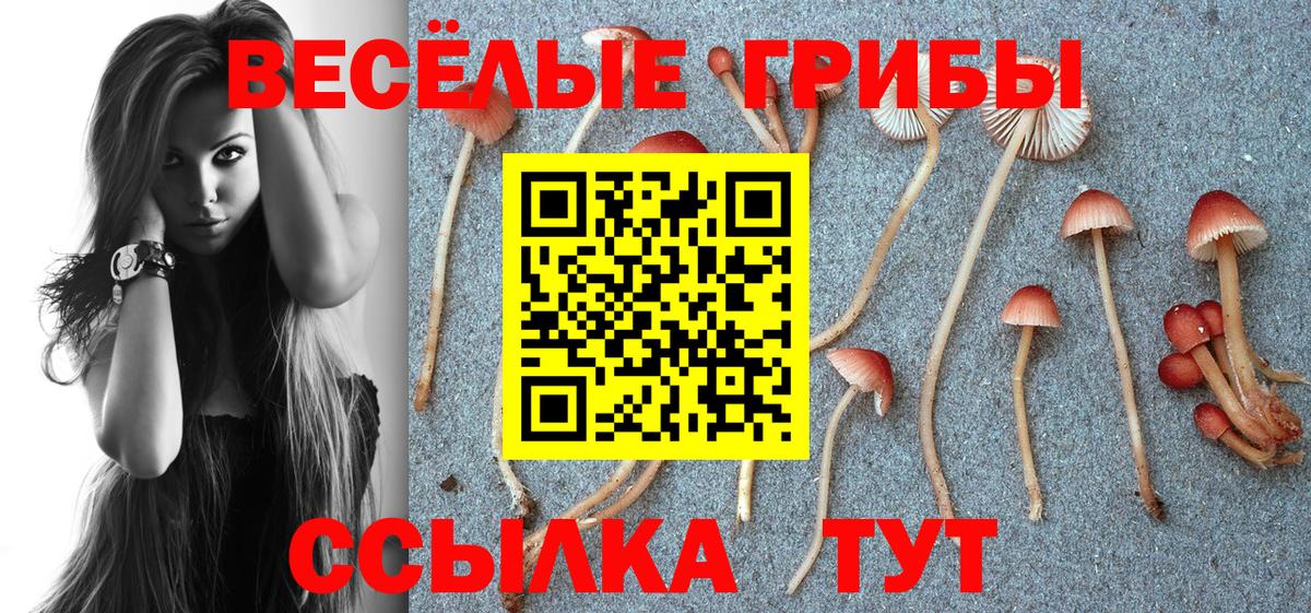 Псилоцибиновые грибы MAGIC MUSHROOMS Дзержинский