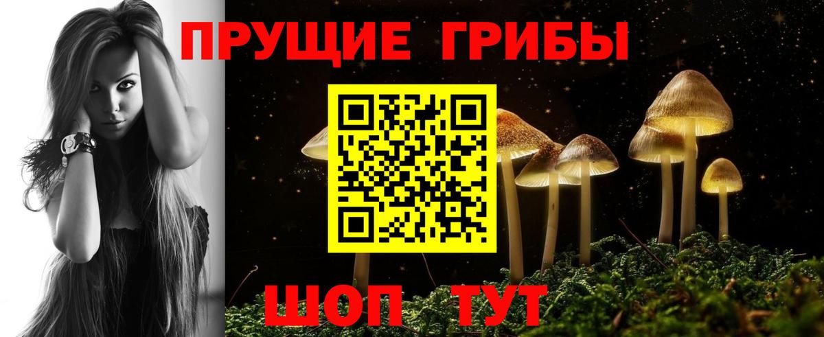 Галлюциногенные грибы Psilocybine cubensis  Вход с VPN  Дзержинский 